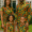 matching sets