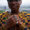 Cultural Rings with Kente Tops